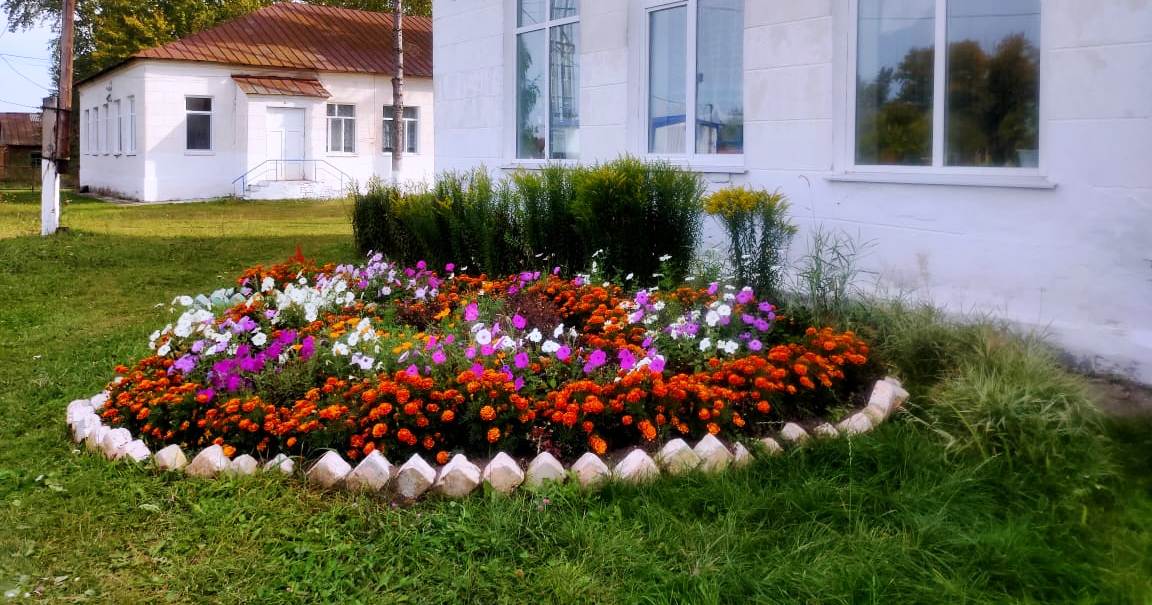 Цветы у школы