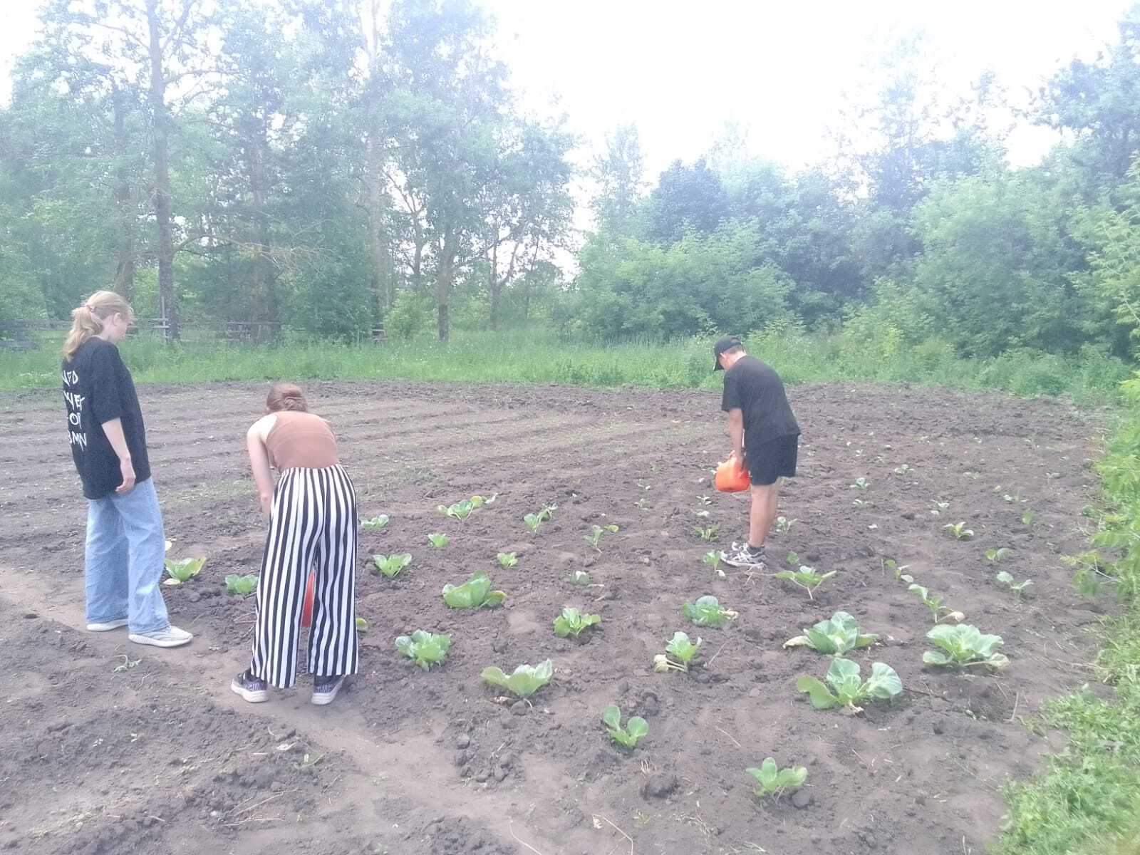 Лагерь ЛТО день 8.