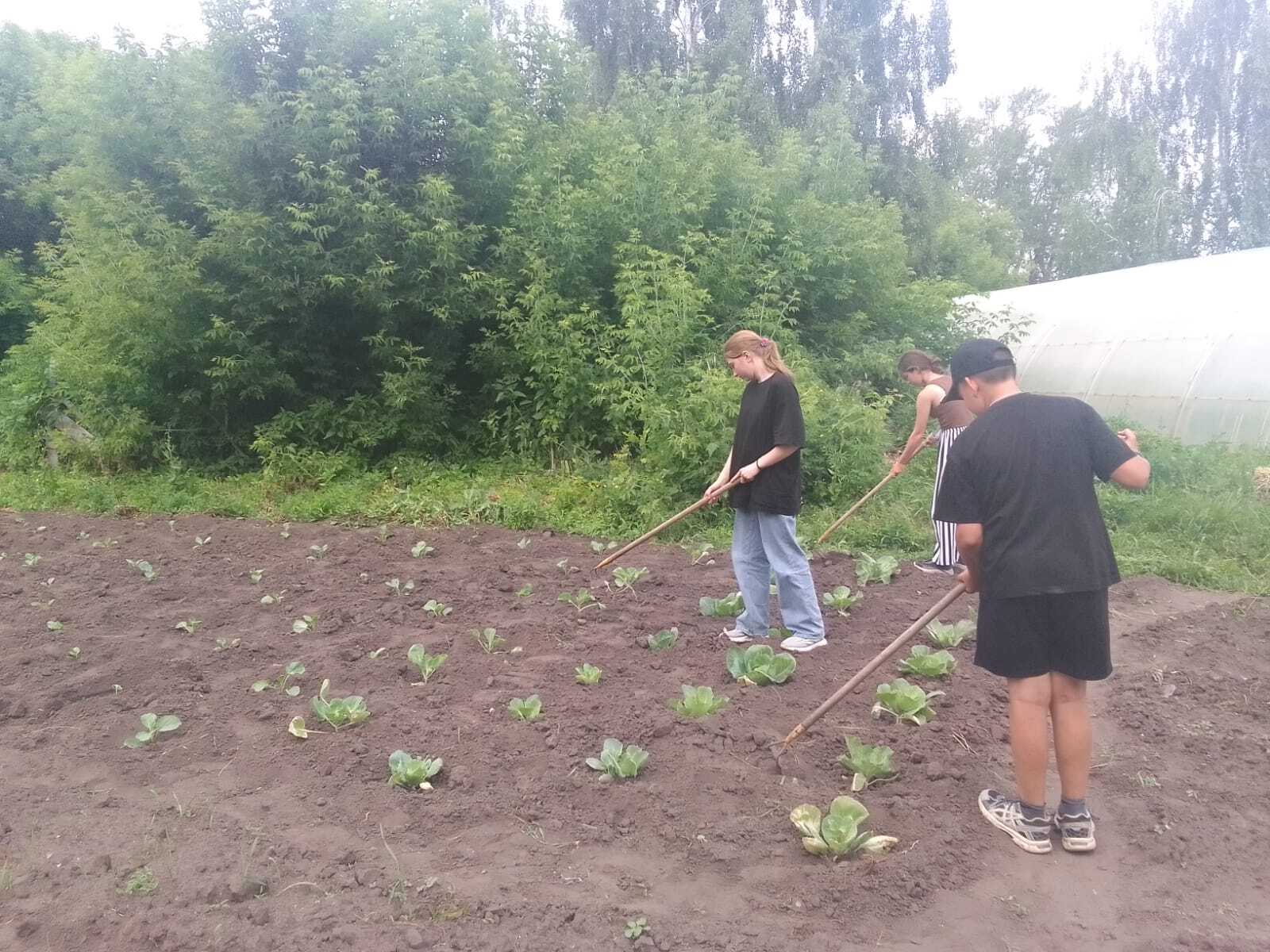 Лагерь ЛТО день 14.