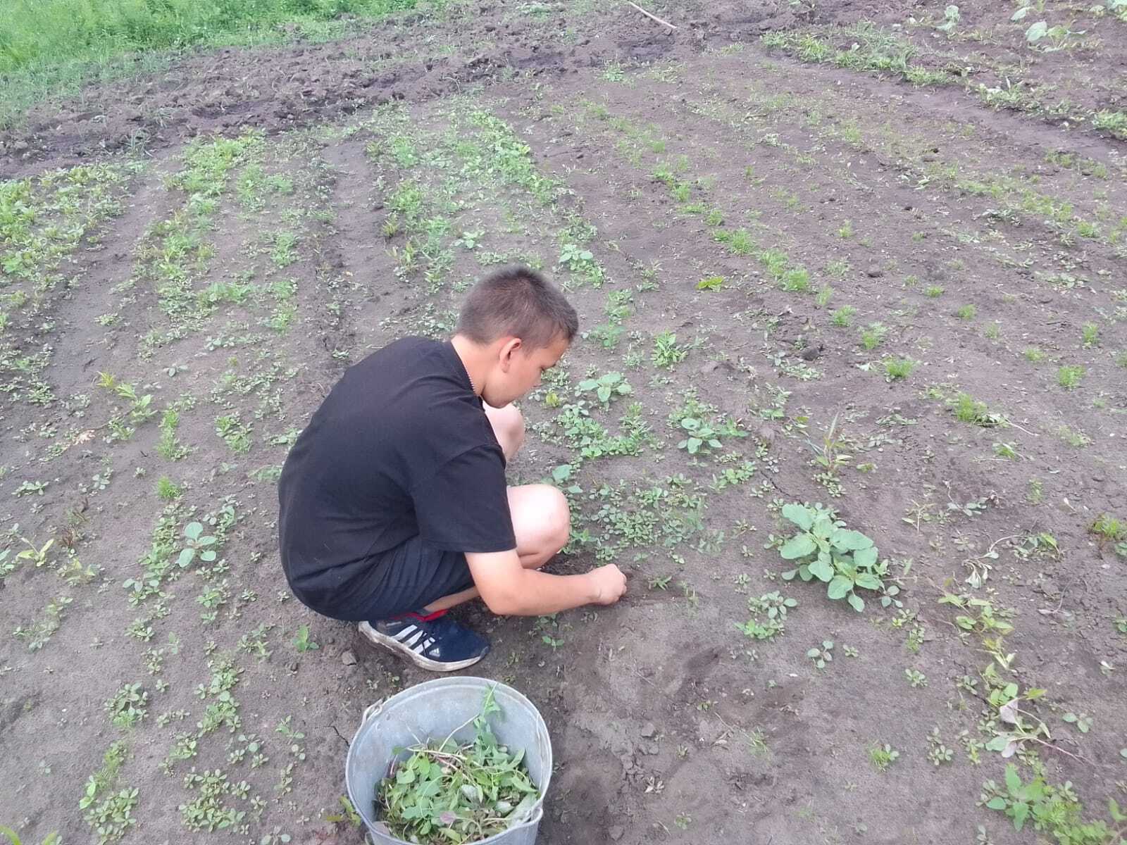 Лагерь ЛТО день 15.