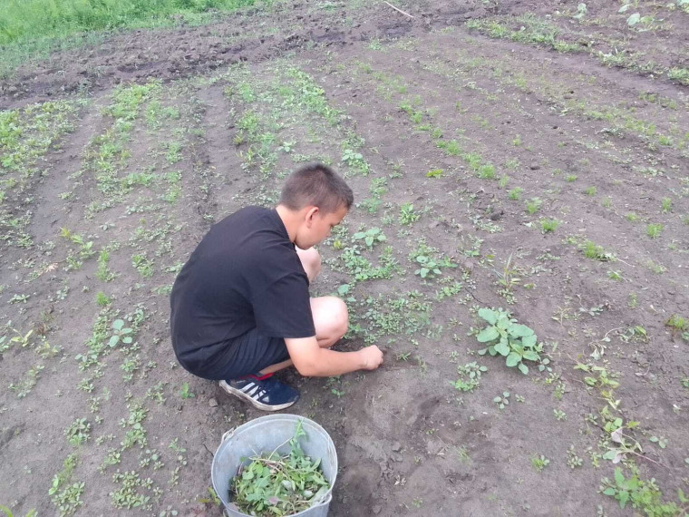 Лагерь ЛТО день 15.